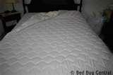 Bed Bugs Encasements images