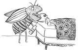 photos of Bed Bugs Novel photos of Bed Bugs Novel