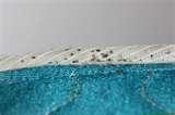pictures of Bed Bugs Encasements