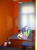 Bed Bugs Krakow pictures