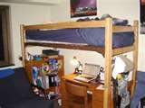 pictures of Bed Bugs Pandemic
