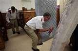 photos of Bed Bugs Pandemic
