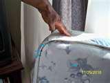 Bed Bugs Fight pictures