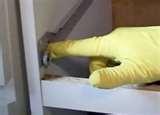 Bed Bugs Electronics images