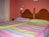 Bed Bugs Krakow pictures