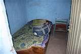 Bed Bugs Luxor photos