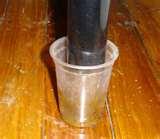 pictures of Bed Bugs 77