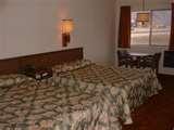 Bed Bugs Iowa photos Bed Bugs Iowa photos