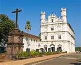 images of Bed Bugs Sri Lanka