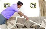 images of Bed Bugs Rugs images of Bed Bugs Rugs