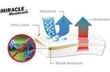 Bed Bugs Cm images