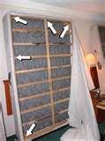 photos of Bed Bugs Rugs photos of Bed Bugs Rugs