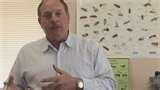 Bed Bugs Cm pictures