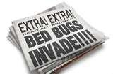 pictures of Bed Bugs 15 Top Cities