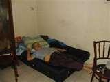 Bed Bugs Sg images Bed Bugs Sg images