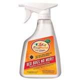 Can Bed Bugs Run Fast Can Bed Bugs Run Fast