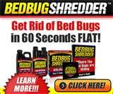How Do You Get Rid Of Bed Bugs By Yourself pictures
