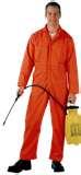 Bed Bugs Queensland images