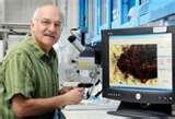 Bed Bugs Npr pictures Bed Bugs Npr pictures