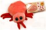 Bed Bugs Giant Microbes photos