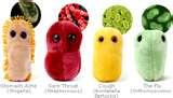 Bed Bugs Giant Microbes photos