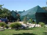 pictures of Bed Bugs Island Of Jamaica pictures of Bed Bugs Island Of Jamaica