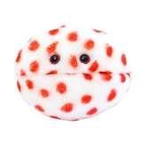 photos of Bed Bugs Giant Microbes