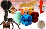 photos of Bed Bugs Giant Microbes