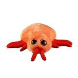 pictures of Bed Bugs Giant Microbes
