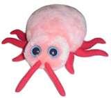 Bed Bugs Giant Microbes