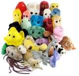 Bed Bugs Giant Microbes photos