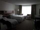 images of Bed Bugs Ottawa