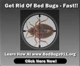 Bed Bugs San Diego pictures
