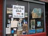 Bed Bugs Brooklyn Bed Bugs Brooklyn