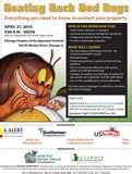 images of Bed Bugs Chicago