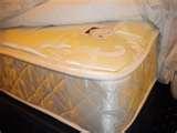 Bed Bugs Las Vegas
