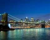 images of Bed Bugs Brooklyn images of Bed Bugs Brooklyn