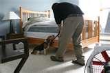 images of Bed Bugs San Francisco