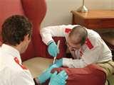 Bed Bugs Florida