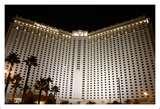 Bed Bugs Las Vegas pictures