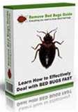 Bed Bugs Florida photos