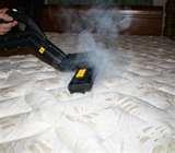 Steam Bed Bugs
