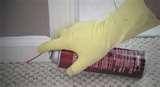 Bed Bugs Spray images Bed Bugs Spray images