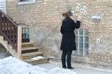 Chicago Bed Bugs images