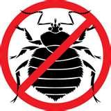images of Bed Bugs Spray images of Bed Bugs Spray