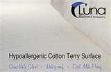 pictures of Bed Bug Mattress Encasement