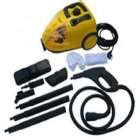 Bed Bugs Steam images