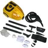 photos of Bed Bugs Steam