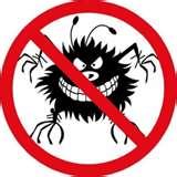 Bed Bugs Wiki