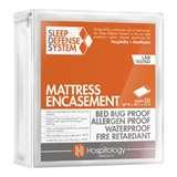 Bed Bug Mattress Encasement photos